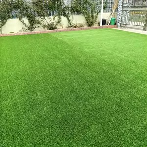 Artificial Grass