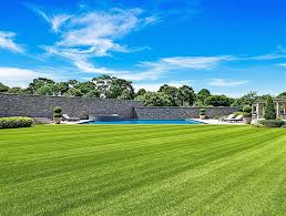 Luxury Grass Lawn